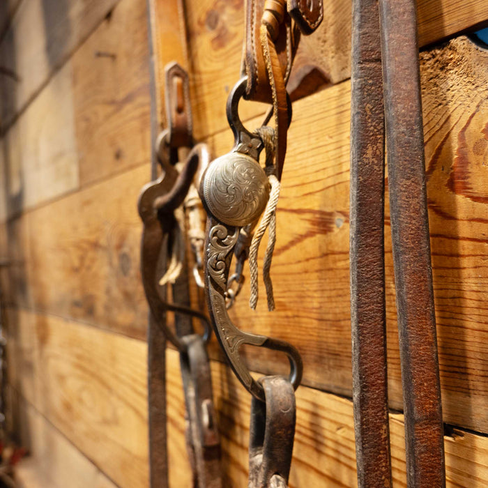 Biggs Bird Solid Port Bridle Rig