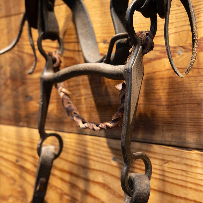Vintage Bridle Rig and Breast Collar Set