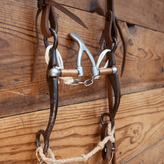 Kerry Kelley Cathedral Bit Bridle Rig