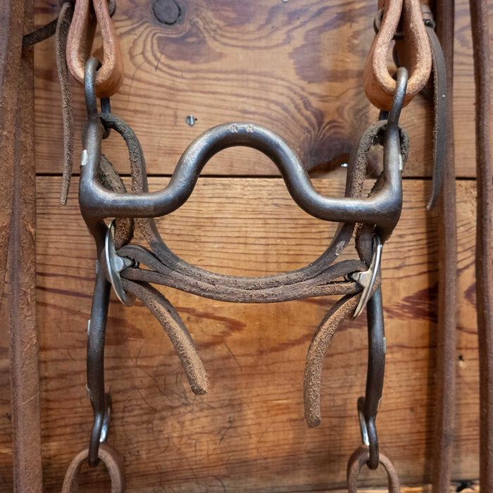 Kurtis Rudelbach Solid Port Bridle Rig