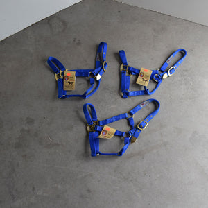 NEW Hamilton Small Halters Set of 3 Sale Barn Teskey's