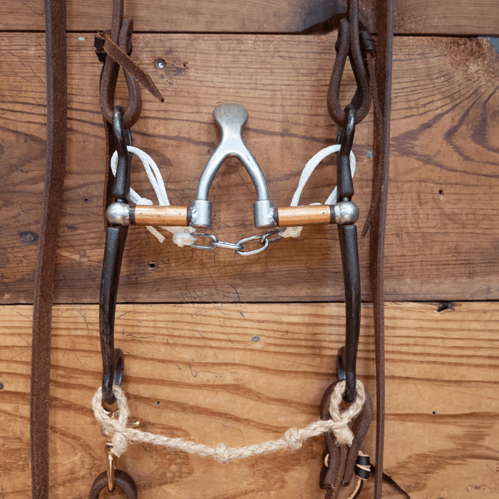 Kerry Kelley Cathedral Bit Bridle Rig