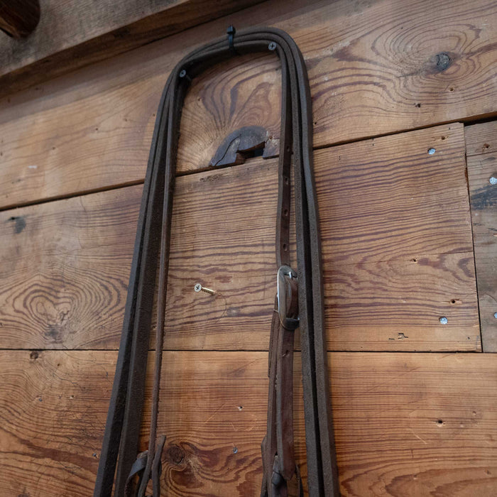 Tristan Mahoney Dogbone Bridle Rig