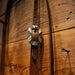 Myler Low Locking Hinge Port Bridle Rig Tack - Rigs Myler