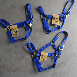 NEW Hamilton Small Halters Set of 3 Sale Barn Teskey's