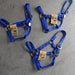 NEW Hamilton Small Halters Set of 3 Sale Barn Teskey's