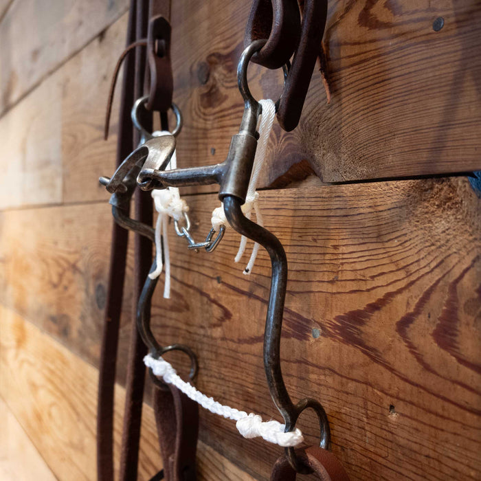 Daryl Davis Loose Port Bridle Rig