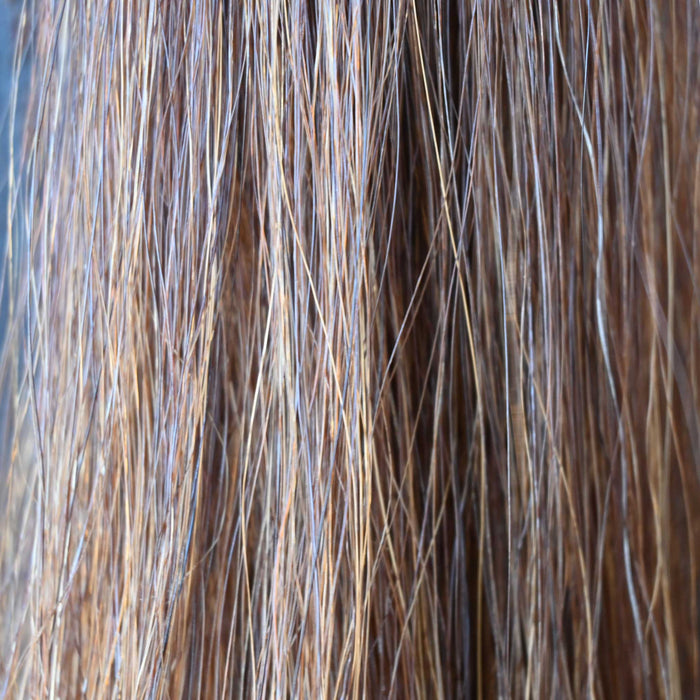 9 1/2" Horse Hair Shoo-Fly