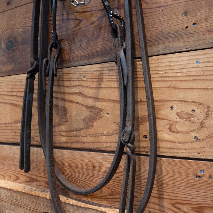 Tristan Mahoney Dogbone Bridle Rig