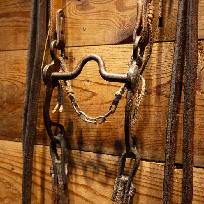 Biggs Bird Solid Port Bridle Rig