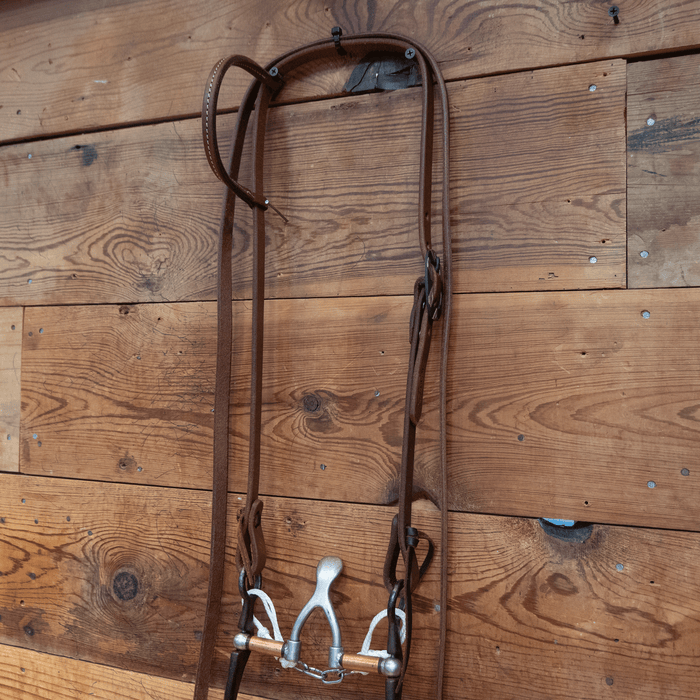 Kerry Kelley Cathedral Bit Bridle Rig