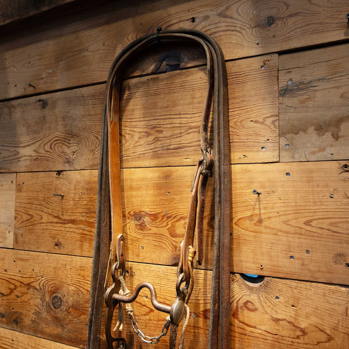 Biggs Bird Solid Port Bridle Rig
