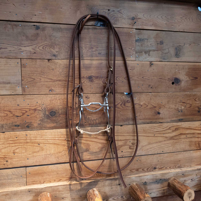 Kerry Kelley Billy Allen Bit Bridle Rig
