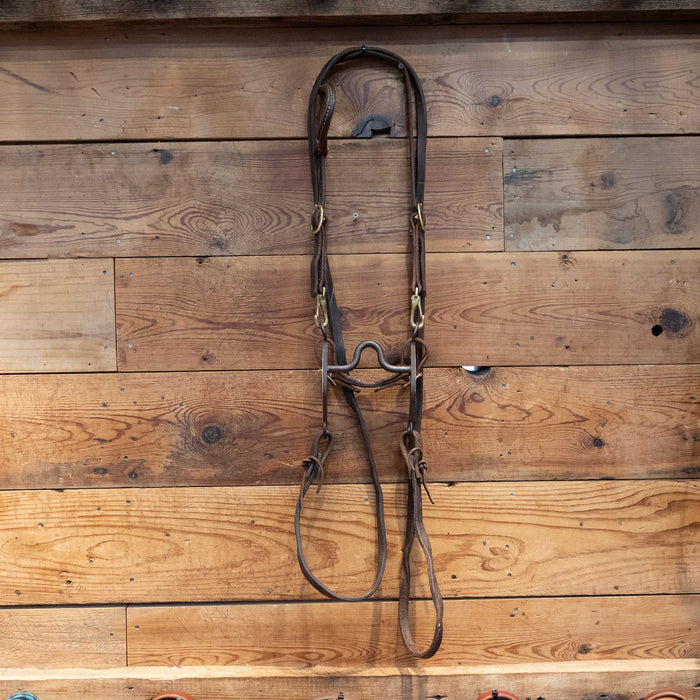 Daryl Davis Solid Port Bridle Rig