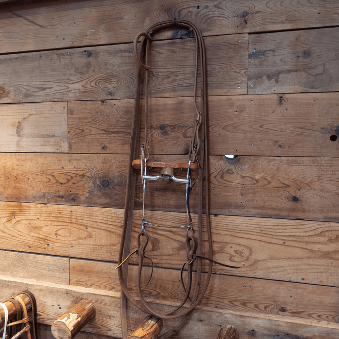 Copper Port w/Roller Bit Bridle Rig