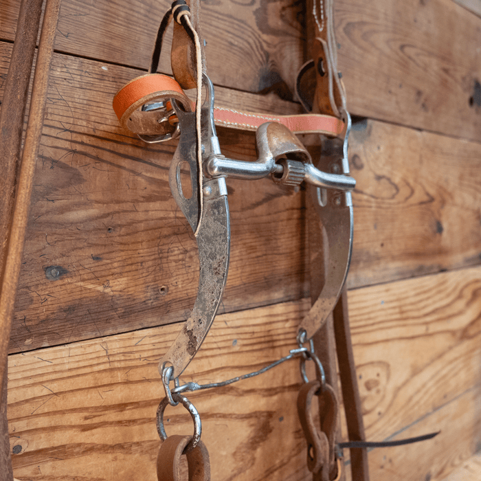 Hooded Copper Port Correction Rig w/Single Ear Headstal Sale Barn misc