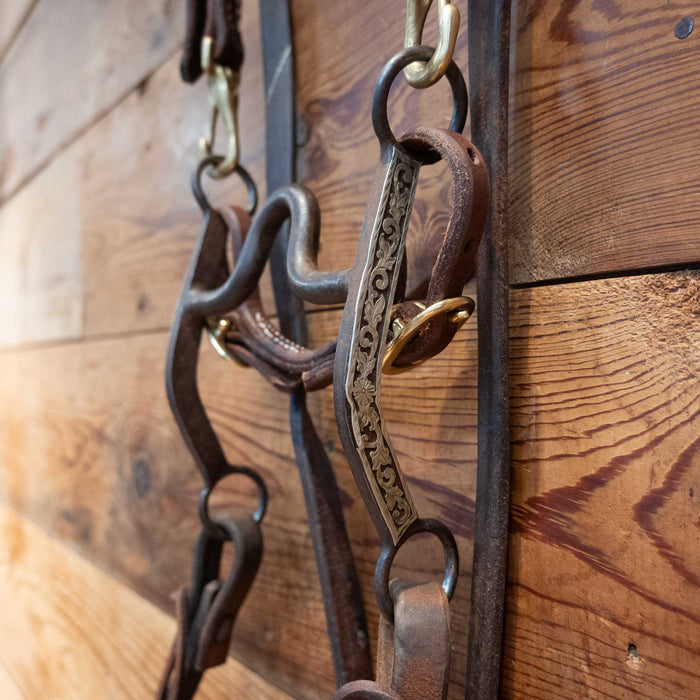 Daryl Davis Solid Port Bridle Rig