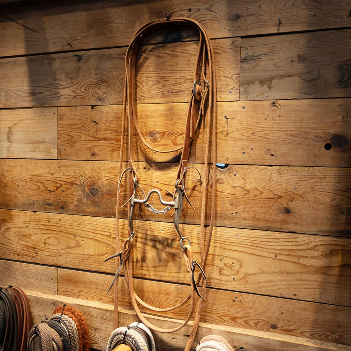 Josh Ownbey Solid Port Bridle Rig