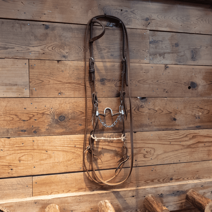 Classic Equine Correction Bit Bridle Rig