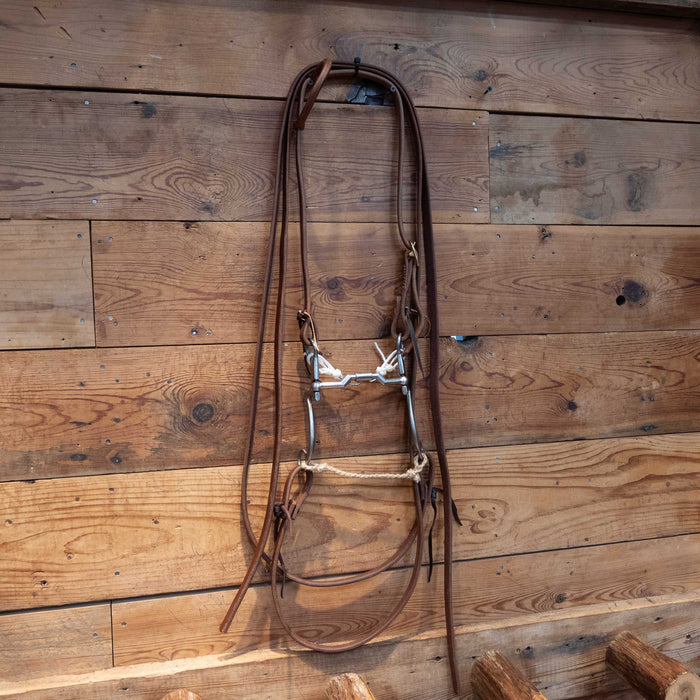 Kerry Kelley Billy Allen Bit Bridle Rig