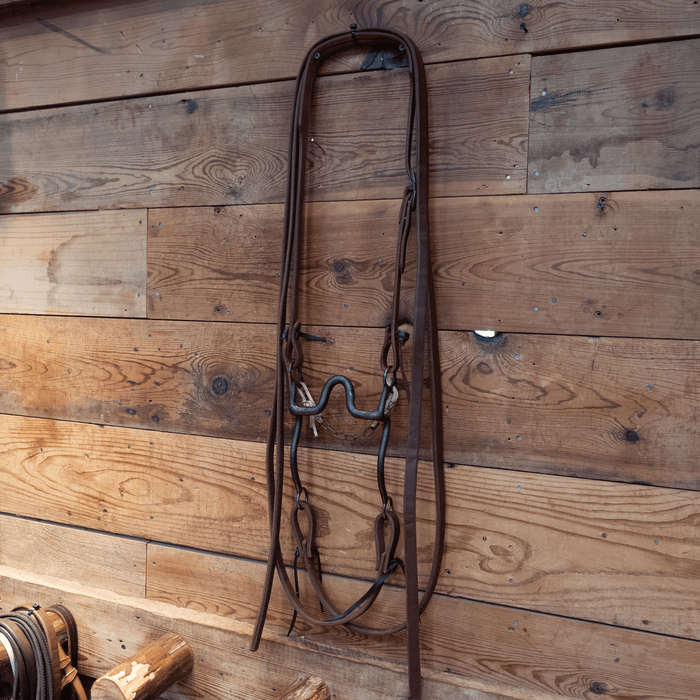 "Burr" Port Bit Bridle Rig