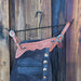 Chap Hanger Collectibles misc