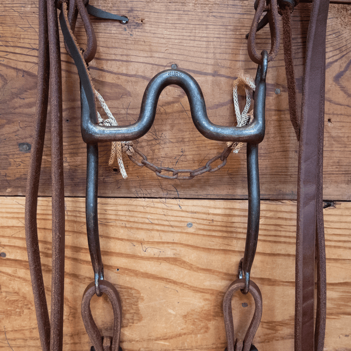 "Burr" Port Bit Bridle Rig