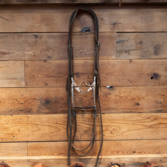 Greg Darnell Copper Port Bridle Rig