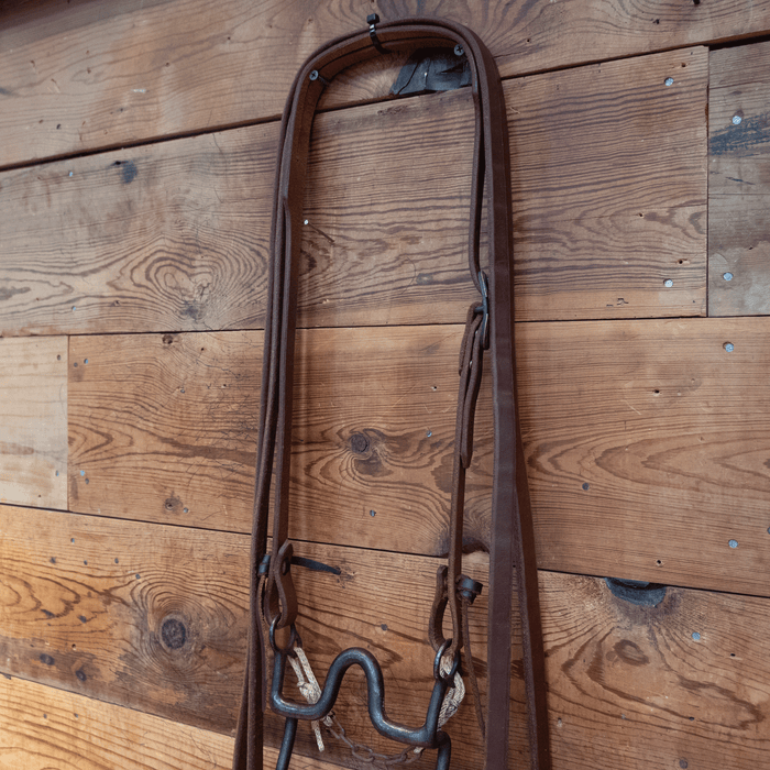 "Burr" Port Bit Bridle Rig