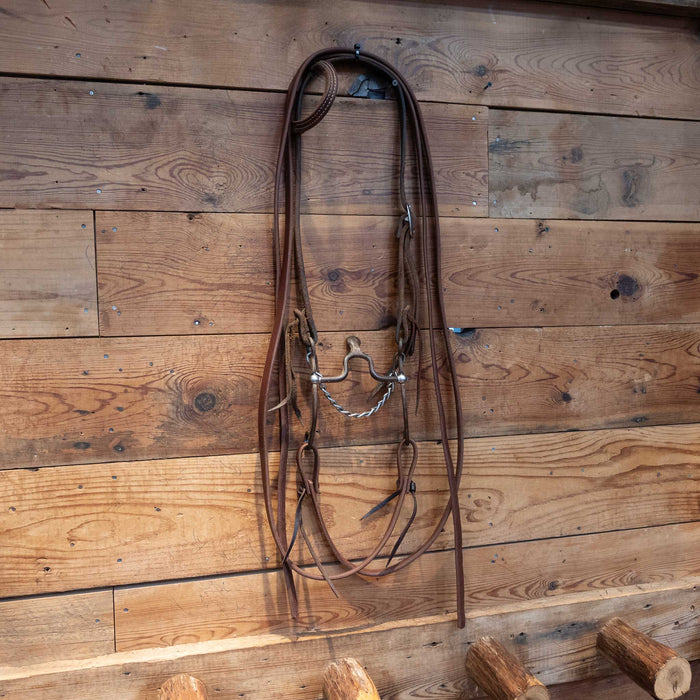 Jim Edwards Correction Bit Bridle Rig