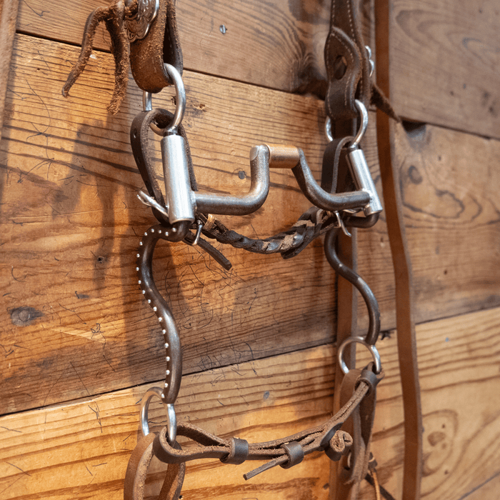 Tom Balding Hinge Port Bit Bridle Rig