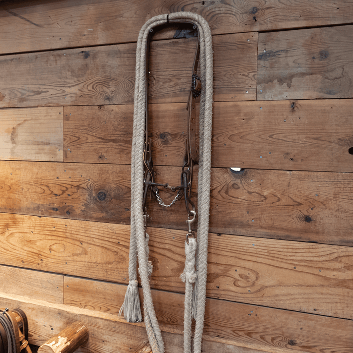 Dog Bone Bit Bridle Rig