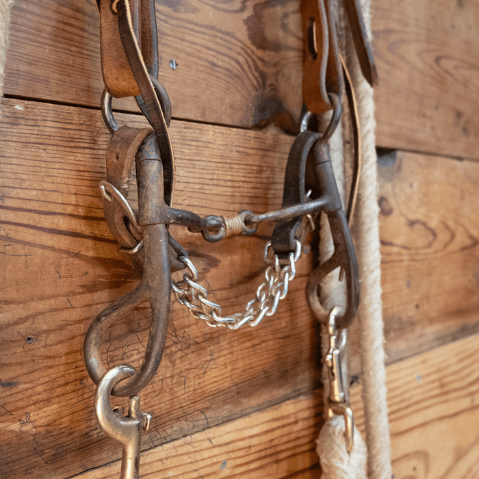 Dog Bone Bit Bridle Rig