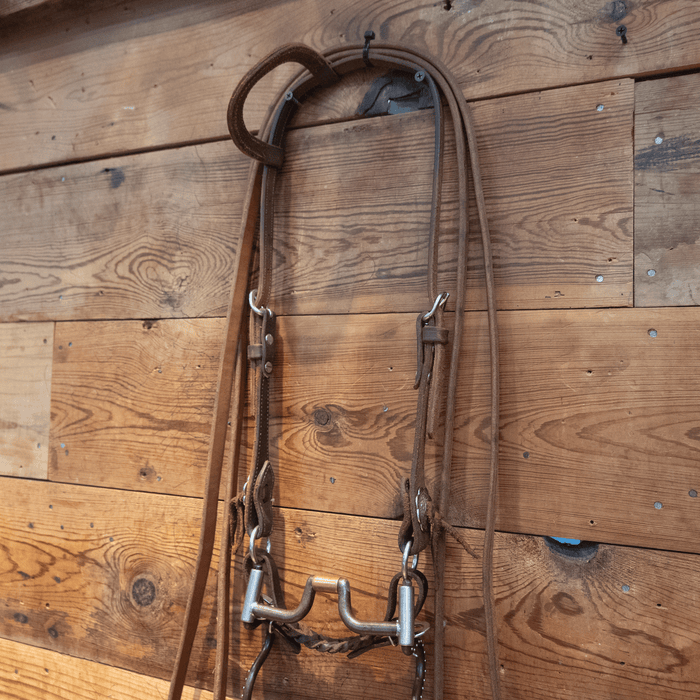 Tom Balding Hinge Port Bit Bridle Rig