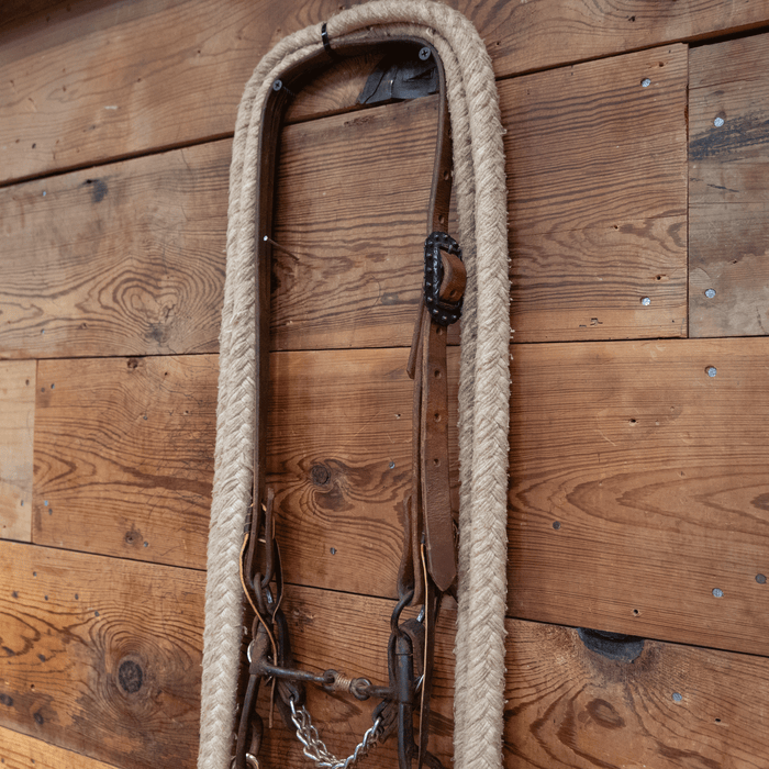 Dog Bone Bit Bridle Rig