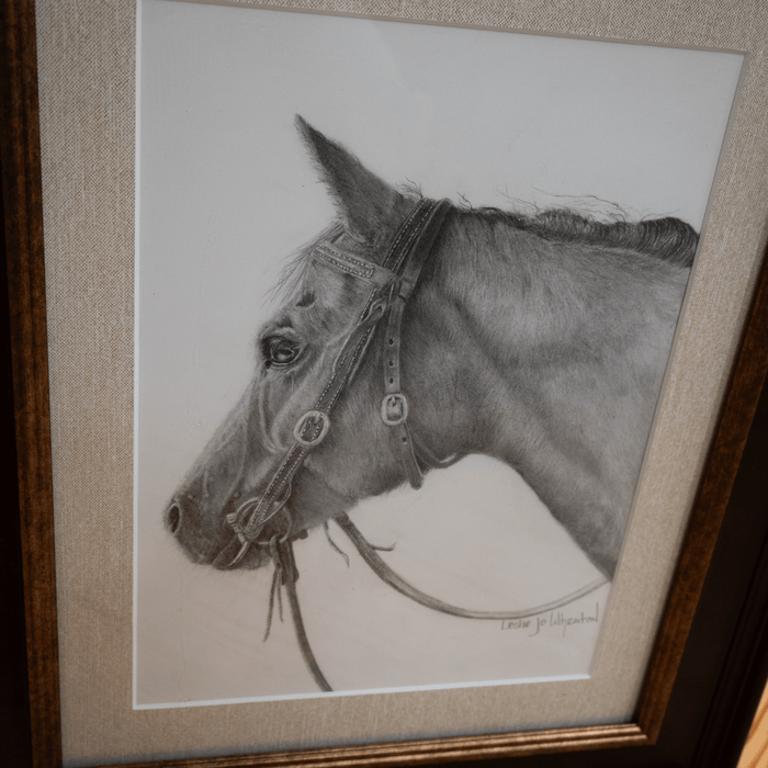 Original Framed Pencil Sketch of Bridled Horse by Leslie Jo Wheaton