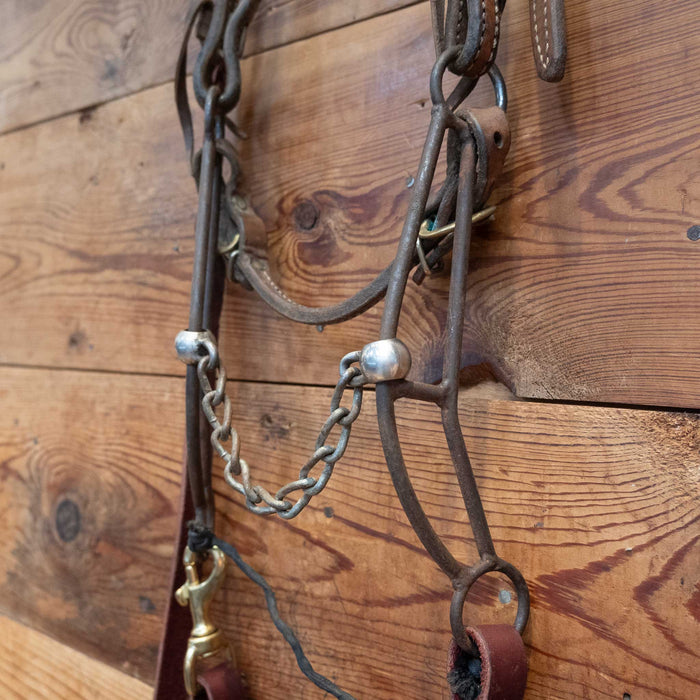 Banana Gag Chain Bridle Rig