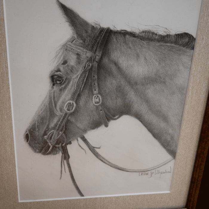 Original Framed Pencil Sketch of Bridled Horse by Leslie Jo Wheaton