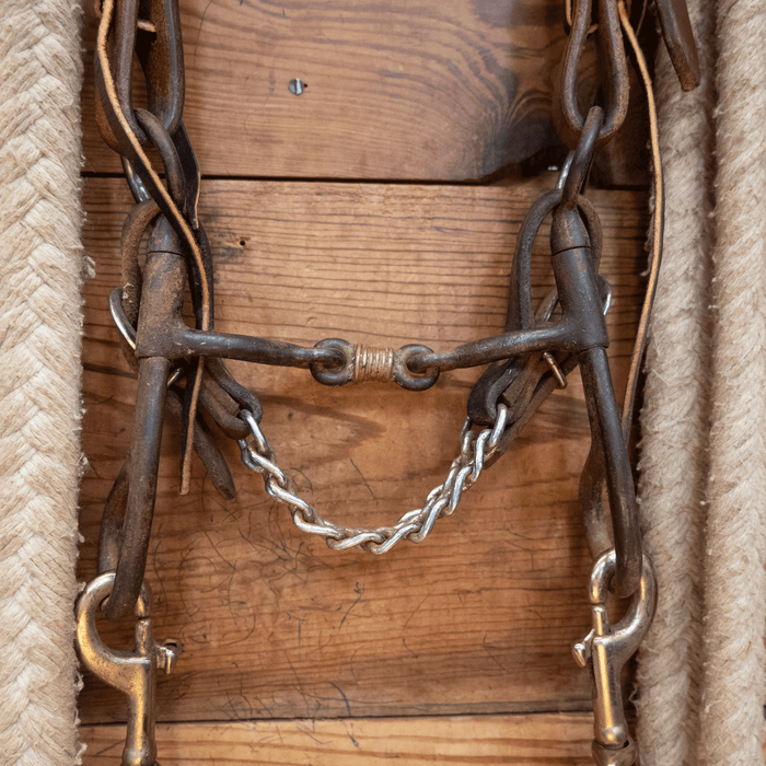 Dog Bone Bit Bridle Rig