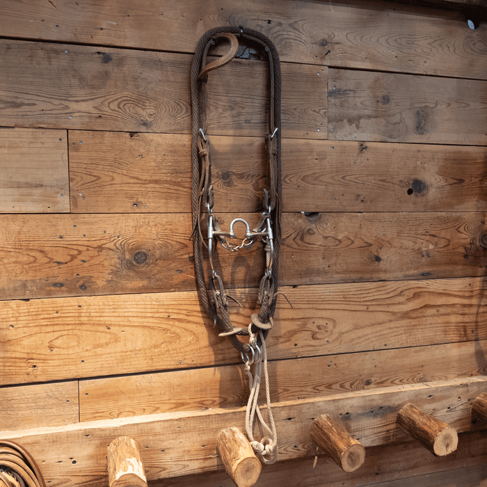 Correction Bit Bridle Rig with String Martingale
