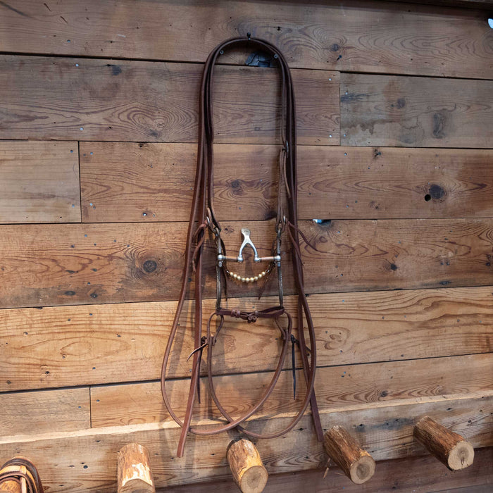 Kerry Kelley Silver Mounted Cathedral Bit Bridle Rig