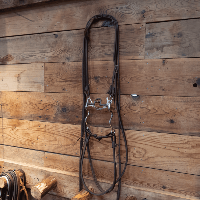 Port w/Copper Rings Bit Bridle Rig