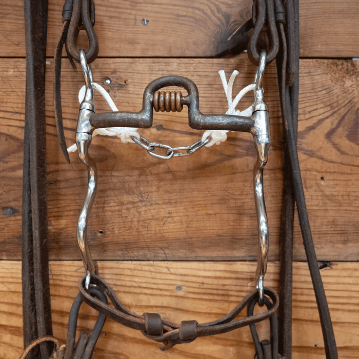 Port w/Copper Rings Bit Bridle Rig