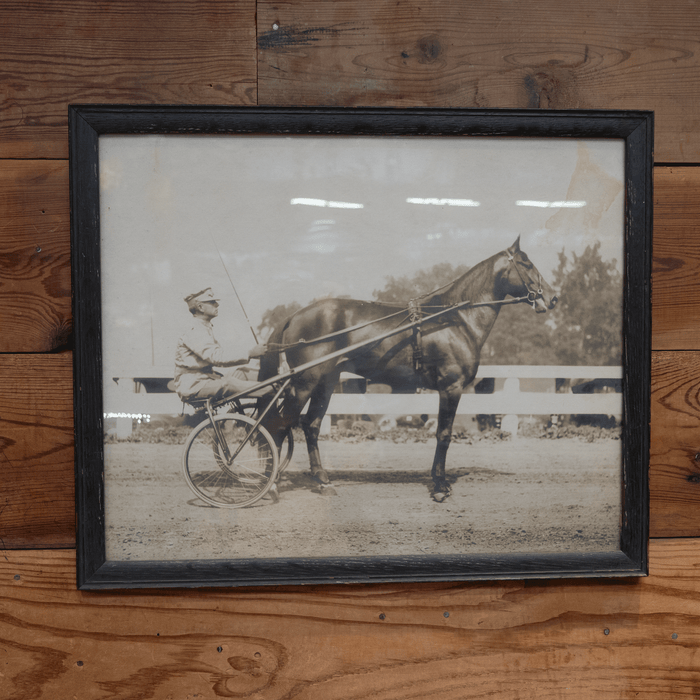 Silver Gelatin Print of World Champ Trotting Stallion "Lee Axworthy" 1916