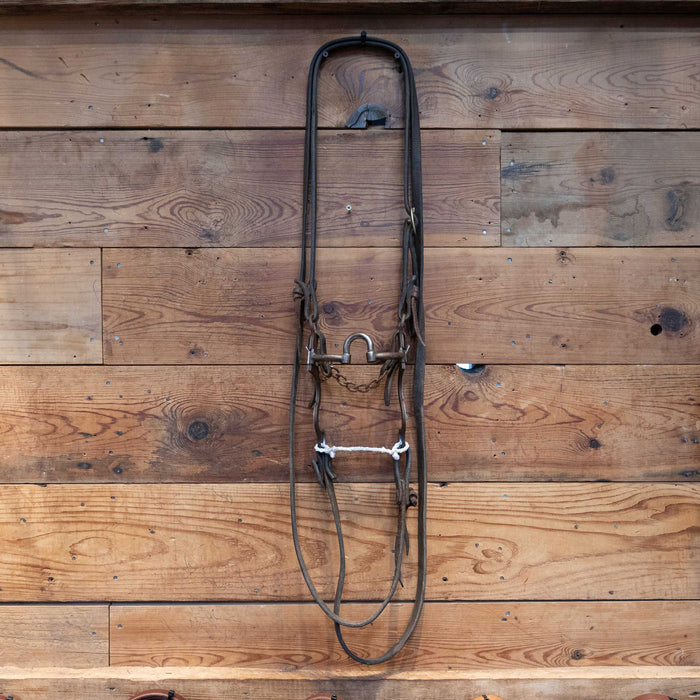 Daryl Davis Correction Bridle Rig Tack - Rigs Daryl Davis