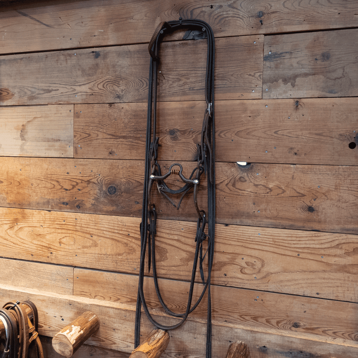 Kerry Kelley Correction Bit Bridle Rig