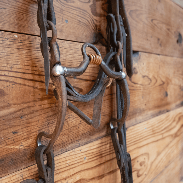 Kerry Kelley Correction Bit Bridle Rig