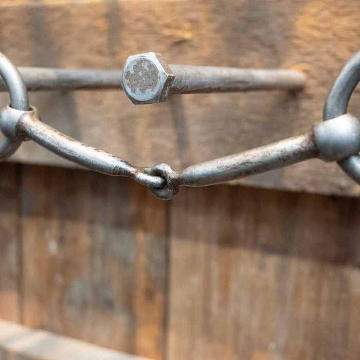 Quisenberry O-Ring Snaffle Bit