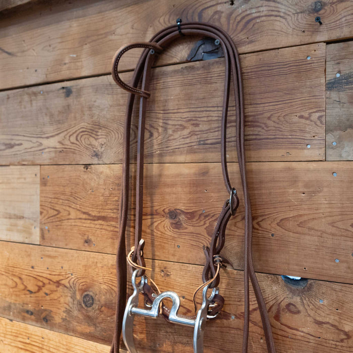 Bill Freeman Mushroom Port Bit Bridle Rig