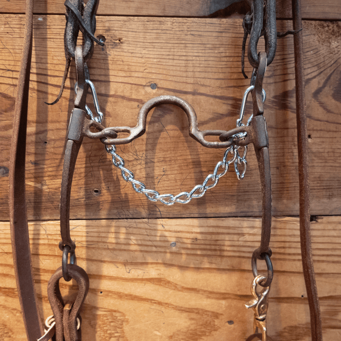 Cowpuncher Ported Chain Bit Bridle Rig
